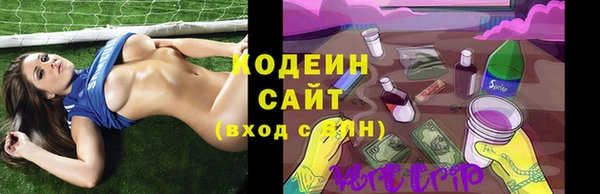 амф Козловка