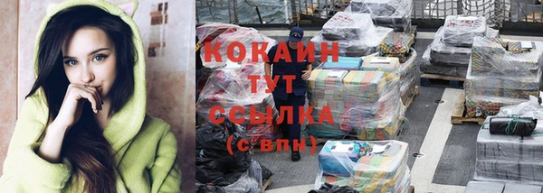 амф Козловка