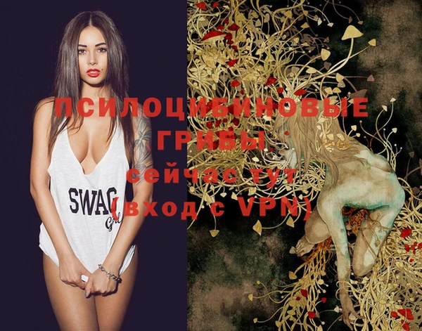 амф Козловка
