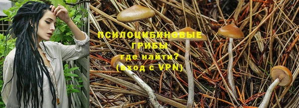 амф Козловка