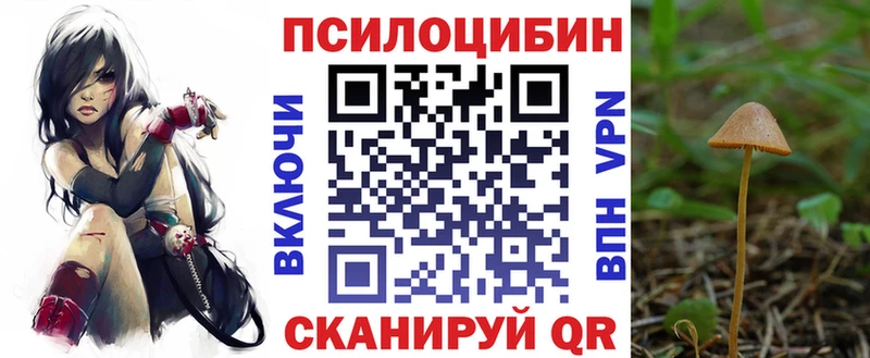 Галлюциногенные грибы MAGIC MUSHROOMS  нарко площадка состав  Ессентукская  гидра ссылки 